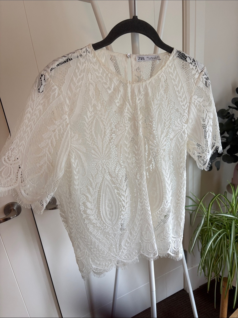 Zara Cream Lace Short Sleeve Blouse